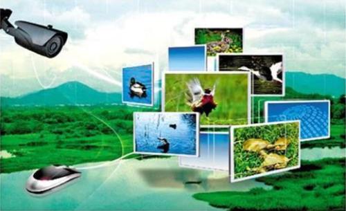 数字农业：物联网、大数据的下一个战场